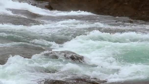 Mountain stream flowing fast — Stock Video