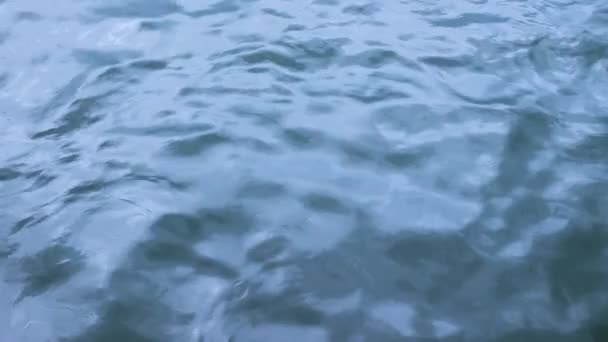 Rippling Water Surface — Stock Video