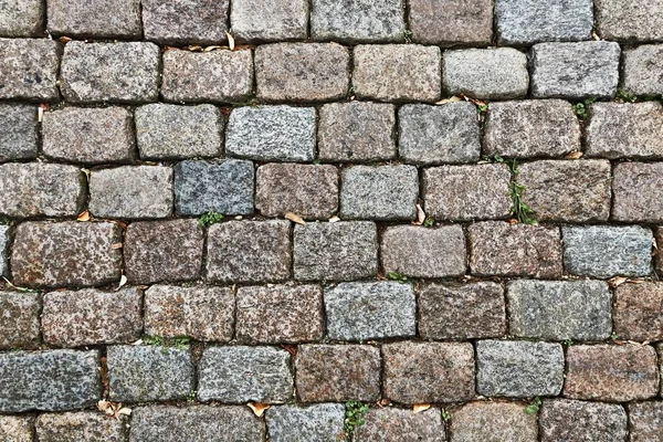 Taş Askı Şablonu — Stok fotoğraf