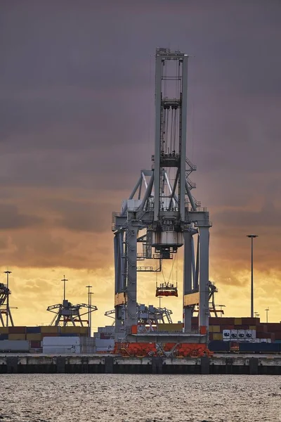 Containerdock in Rotterdam — Stockfoto