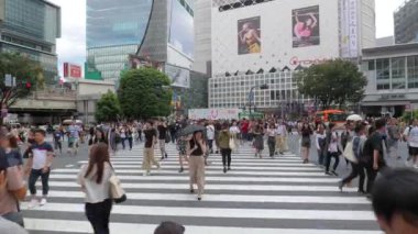 Shibuya geçiş Tokyo