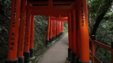 Fushimi Inari Taisha torii kapıları