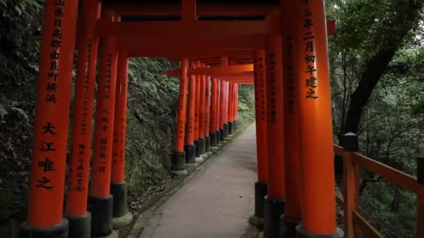 Fushimi Inari πύλες taisha torii — Αρχείο Βίντεο