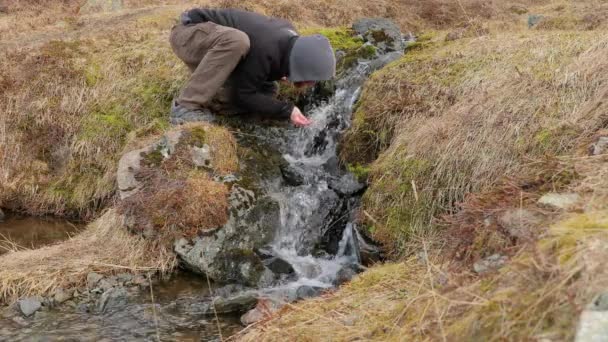 Пити з потоку в Ісландії — стокове відео