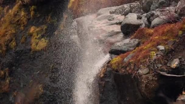 Wasserfall bei Windböen — Stockvideo