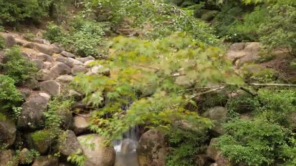 Waterfall in a Japanese park — Stock Video