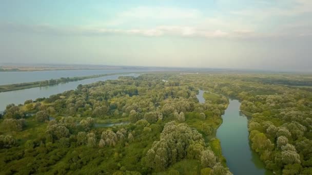 Uitzicht op de Donau — Stockvideo