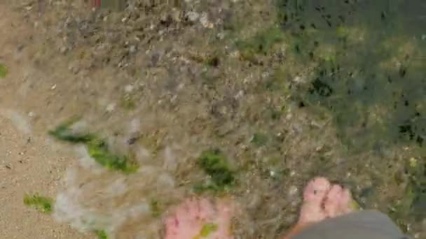 Bare voeten op een strand zeewier in het water — Stockvideo