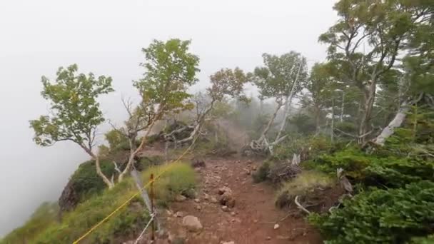 Caminhada de montanha em névoa e nevoeiro — Vídeo de Stock