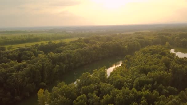 Vista do rio Danúbio — Vídeo de Stock