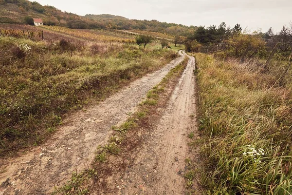 Dirtroad in the countryside — Stock Photo, Image