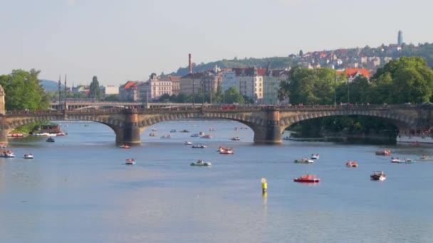 Πράγα, ποταμός Μολδάβα, βάρκες με κουπιά — Αρχείο Βίντεο