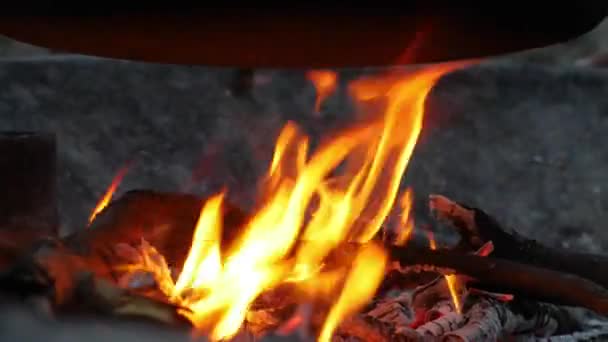 Lagerfeuer unter einem Topf — Stockvideo