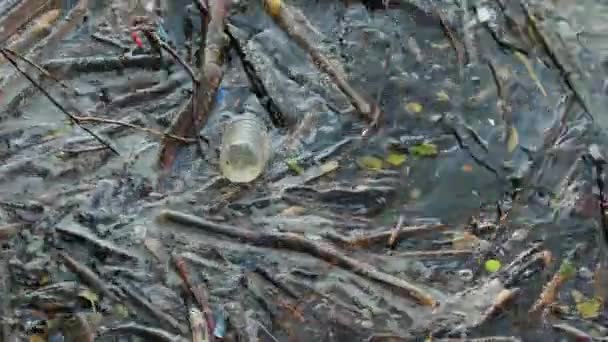 Sopor flyter i en flod — Stockvideo