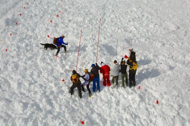 Avalanch kurtarma arama