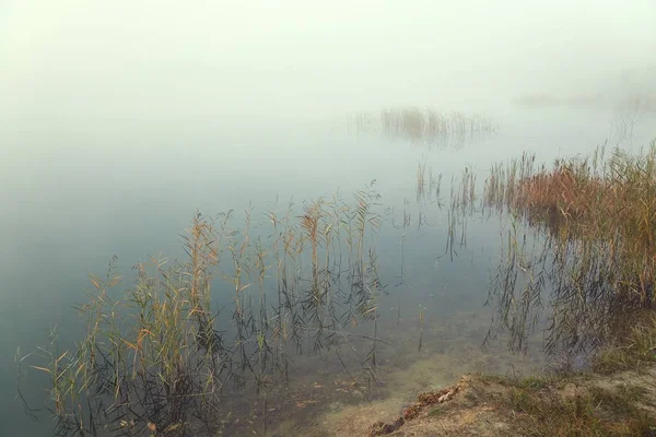 Nebel am Seeufer — Stockfoto