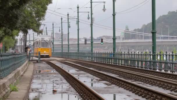 Spårvagnslinje 2 i Budapest — Stockvideo