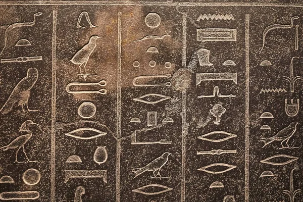 Script Hieroglífico Antigo — Fotografia de Stock