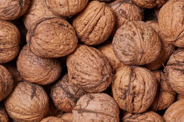 Walnuts in a pile — Stock Photo, Image