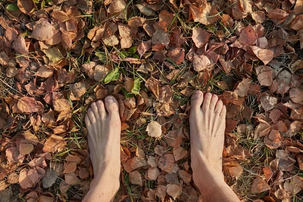 Wandelen op blote voeten in de herfst — Stockfoto