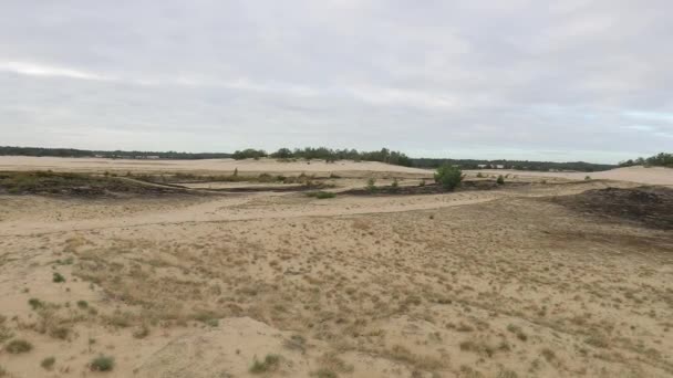Piaszczysta wydma Krajobraz z pewną roślinnością — Wideo stockowe