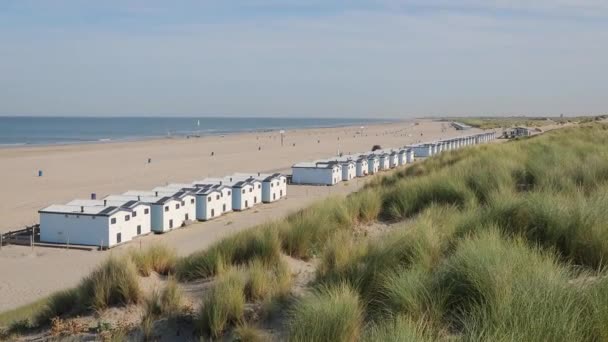 Piaszczysta plaża w Holandii — Wideo stockowe