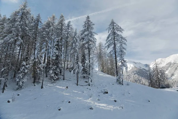 Paisaje nevado de invierno — Foto de Stock