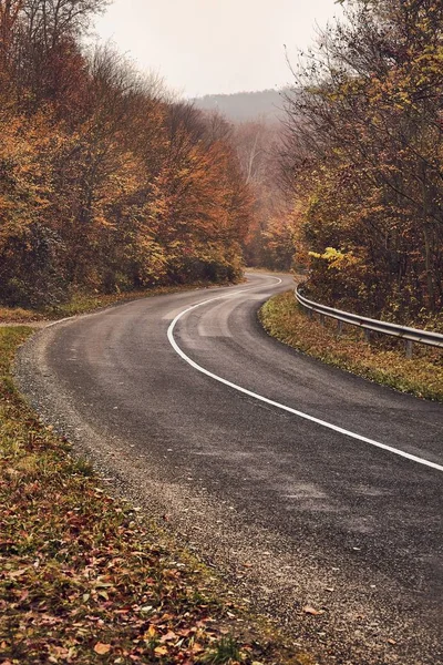 Camino de otoño a través de bosques — Foto de Stock