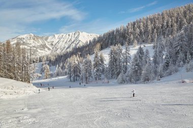 Tepeden kayak pistleri