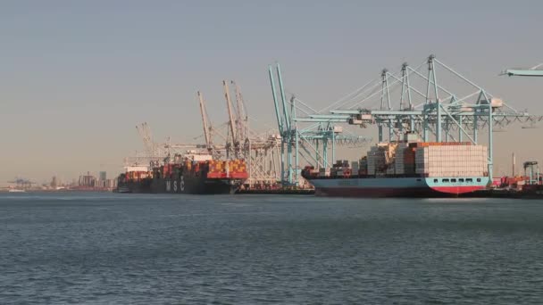 RWG container terminal στο Ρότερνταμ — Αρχείο Βίντεο