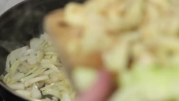 Приготування їжі з цибулею — стокове відео
