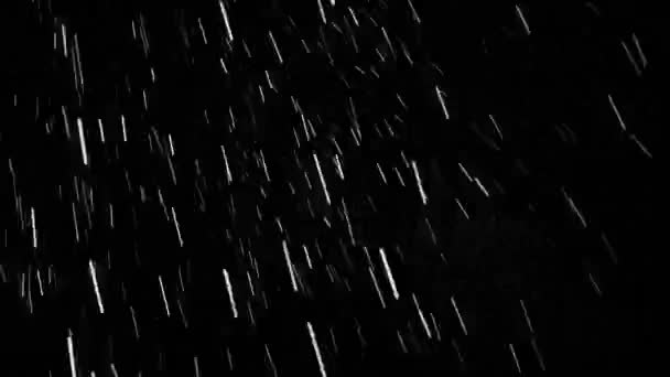 Spadająca śnieżyca w nocy — Wideo stockowe