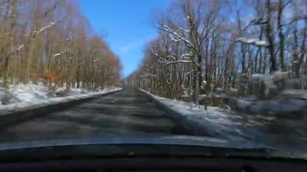 Водіння автомобіля, сніговий пейзаж — стокове відео