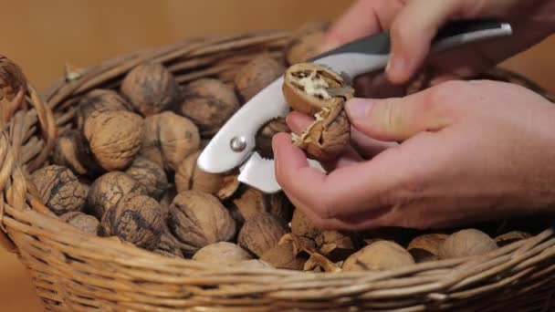 Knäcka valnötter för att äta — Stockvideo