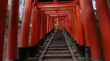 Fushimi Inari Taisha torii kapıları