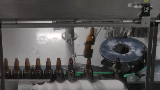 Beer factory bottle washing line — Stock Video