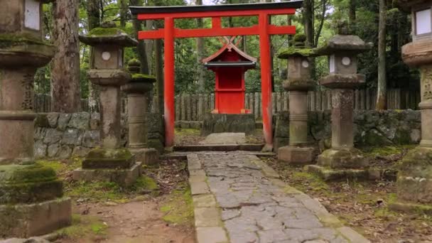 Pequeño viejo santuario japonés — Vídeos de Stock