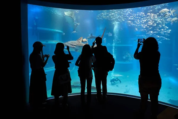 Marine aquarium with visitor silhouettes — Stock Photo, Image