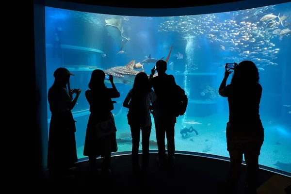 Acuario marino con siluetas de visitante — Foto de Stock