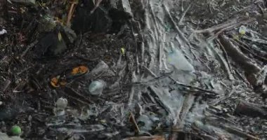 Suda plastik şişeler