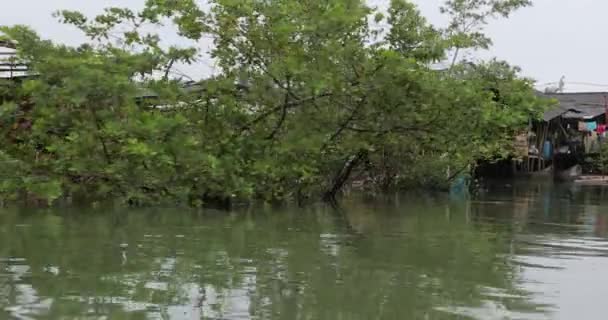 Boottocht in Nuqui, Colombia — Stockvideo