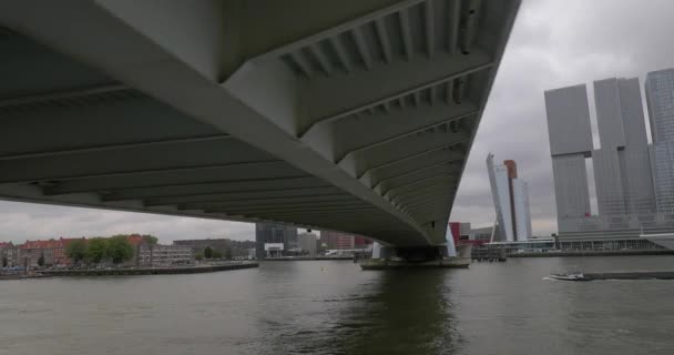 Rotterdam gezi teknesi turu — Stok video