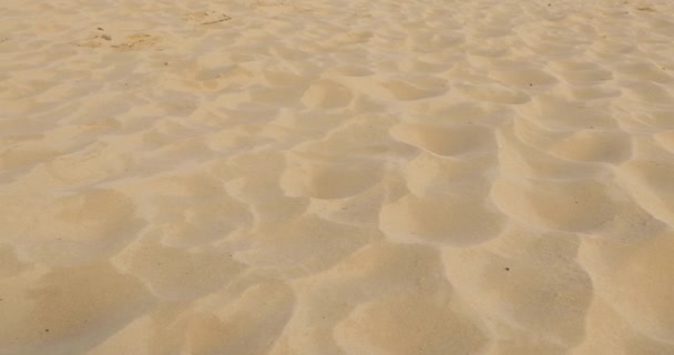 Пляжный песок — стоковое видео