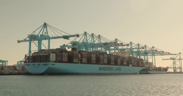 Nave container enorme — Video Stock