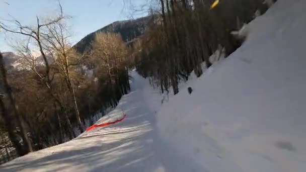 Bir yokuş aşağı Kayak — Stok video