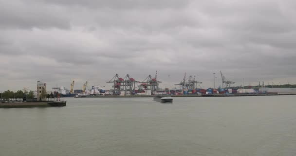Embarcación transportando contenedores a través de Rotterdam — Vídeos de Stock