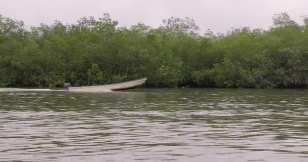 Barco a motor parece sin conductor por un tiempo y luego el conductor se revela — Vídeo de stock