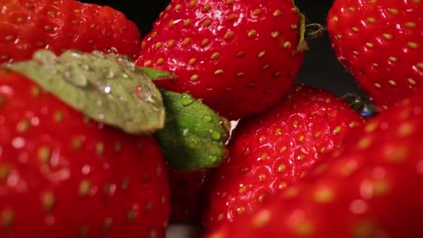 Aardbeien in een paalsonde lens macro — Stockvideo