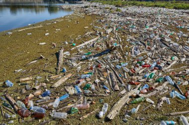 Suda plastik şişeler
