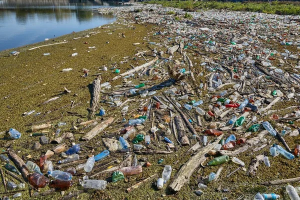 Plastikflaschen im Wasser — Stockfoto